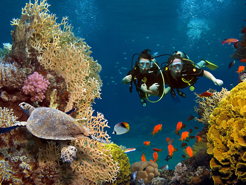 Buceo
